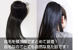 �|�j�[�e�[���^�C�v