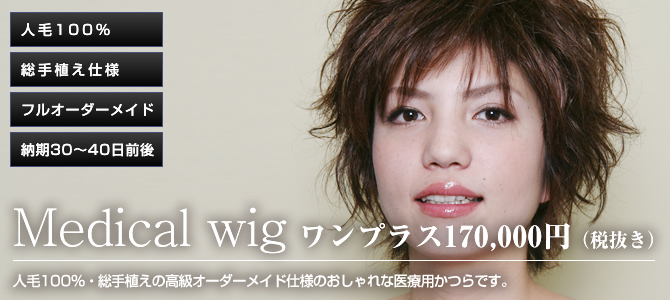 ��×p�t���I�[�_�[���C�h����