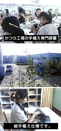 ����H��̎�A����啔��